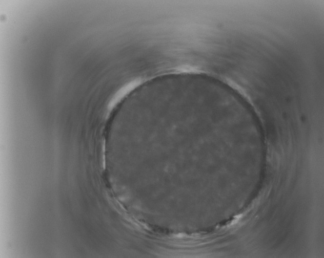 X0000062831171200601271944