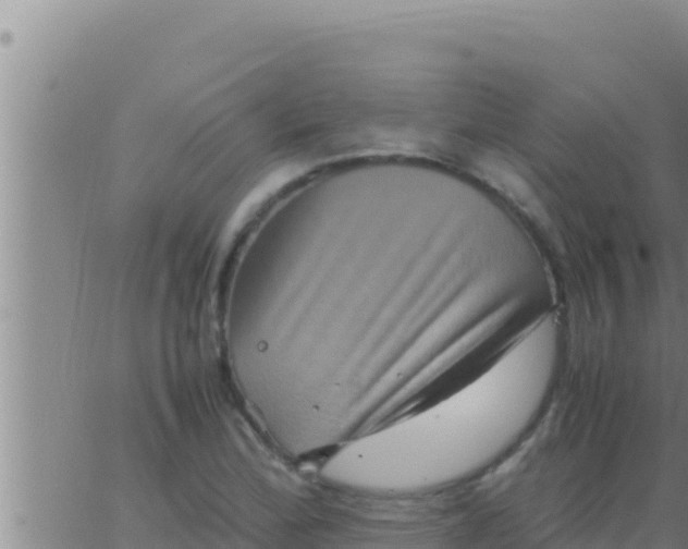 X0000062831172200601271944