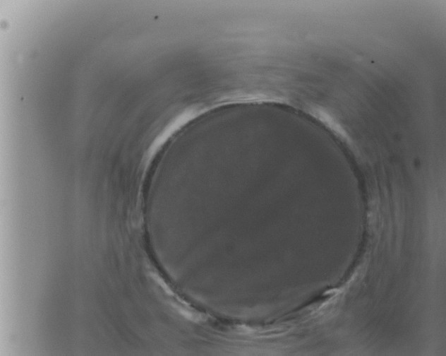 X0000062831173200601271944