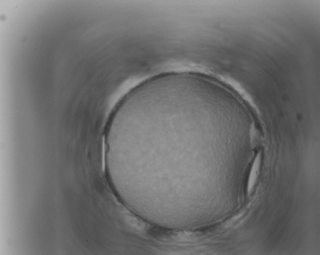 X0000062831175200601271944