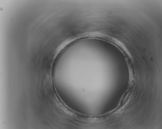 X0000062831176200601271944