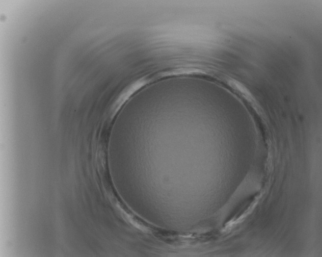 X0000062831177200601271943