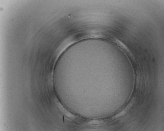 X0000062831178200601271943