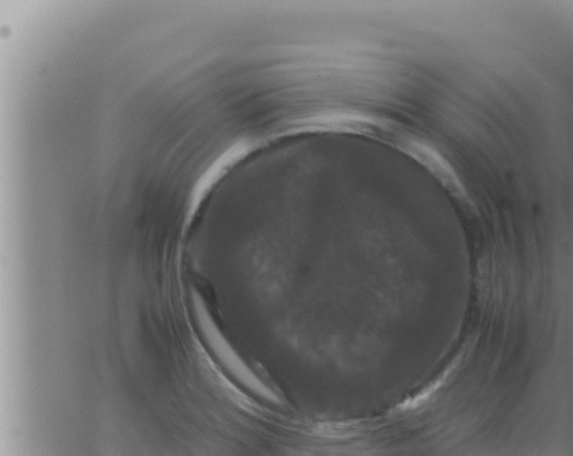 X0000062831180200601271943