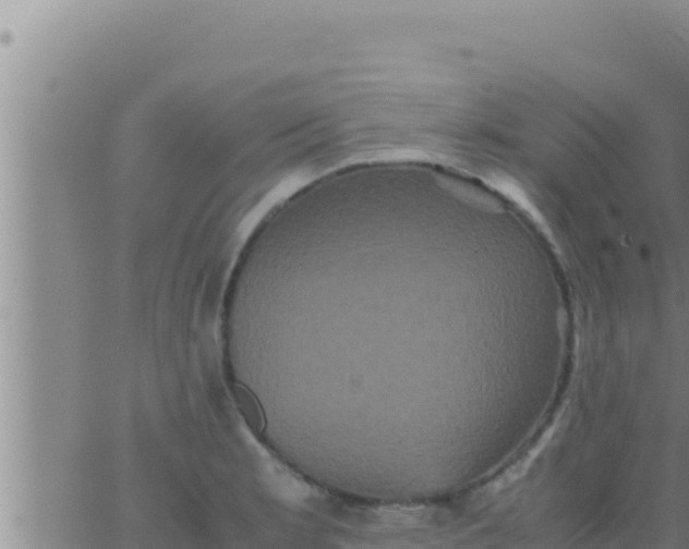 X0000062831181200601271943