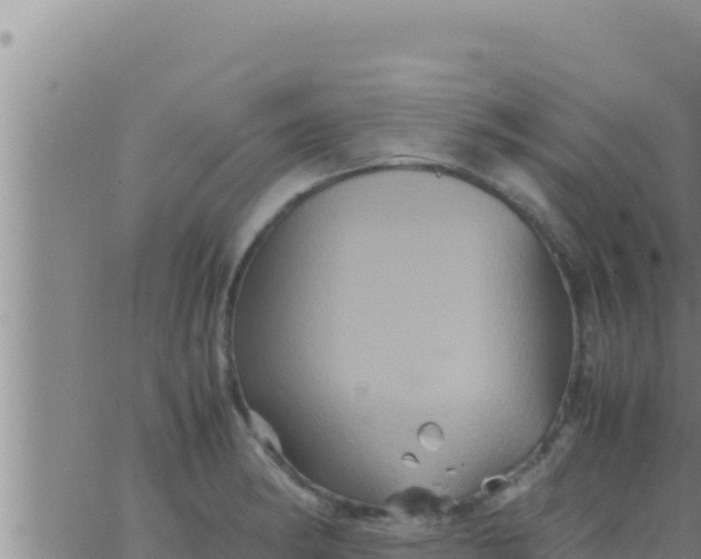 X0000062831182200601271943