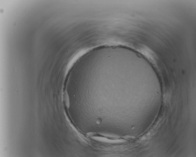 X0000062831183200601271943