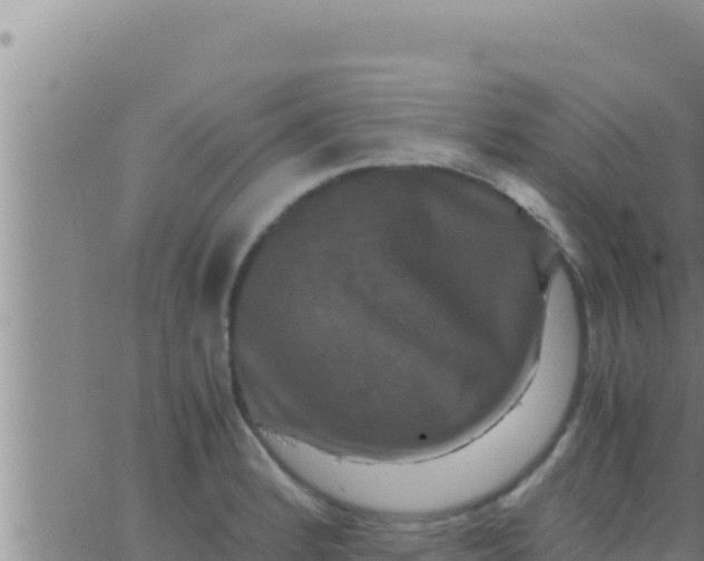 X0000062831184200601271943