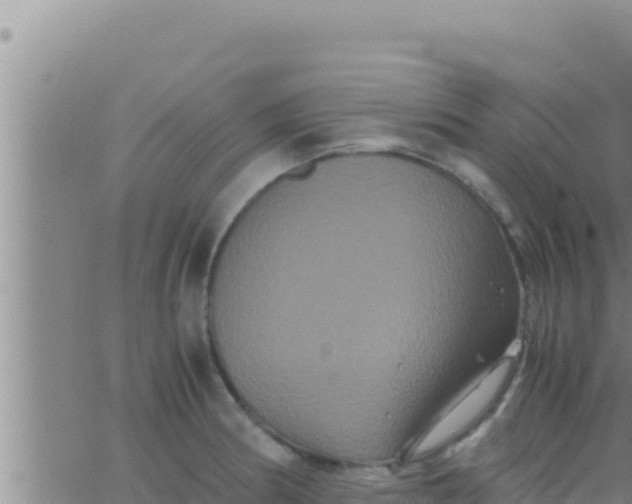 X0000062831186200601271943