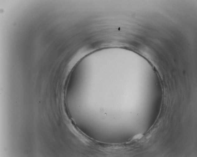 X0000062831187200601271943