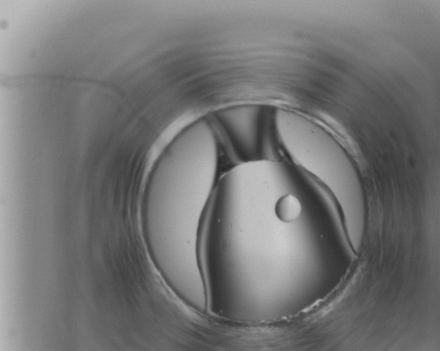 X0000062831188200601271943