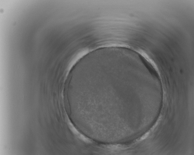 X0000062831189200601271943