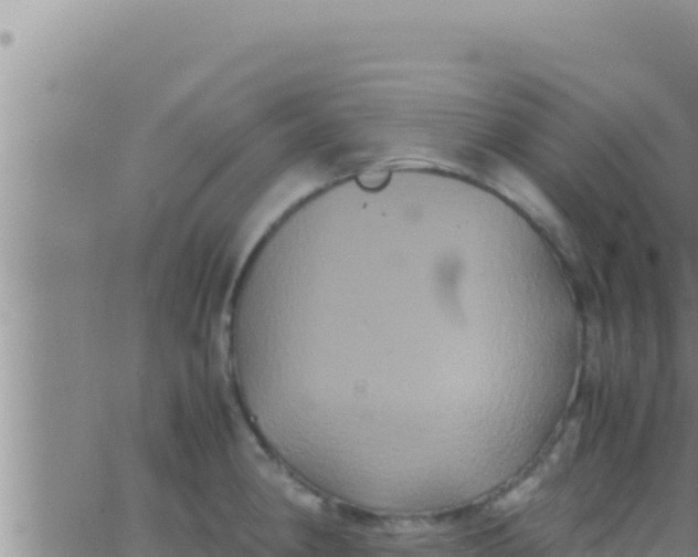 X0000062831190200601271943