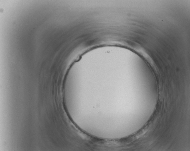 X0000062831191200601271943