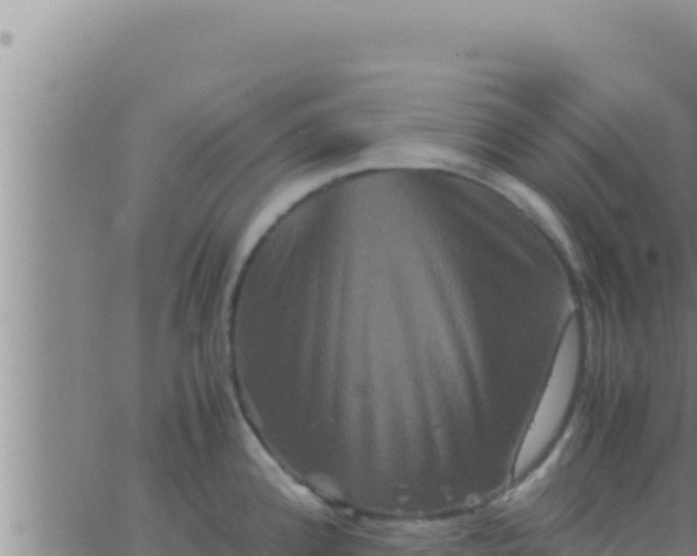 X0000062831192200601271943