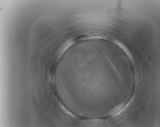 X0000062831193200601271943