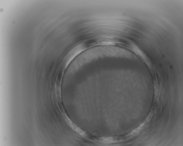 X0000062831194200601271943