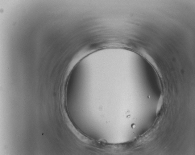 X0000062831195200601271943