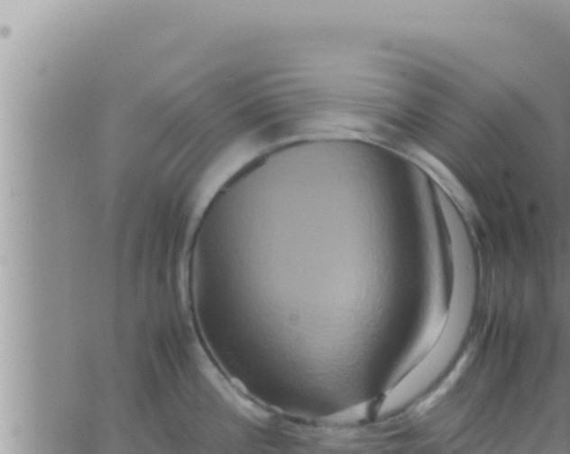 X0000062831196200601271943