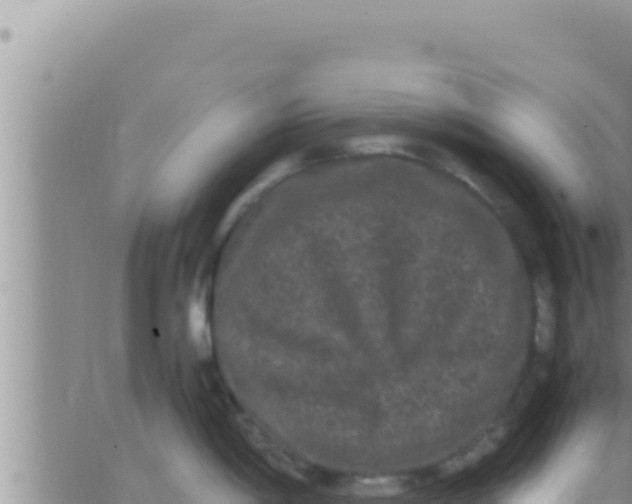 X0000062831198200601271943