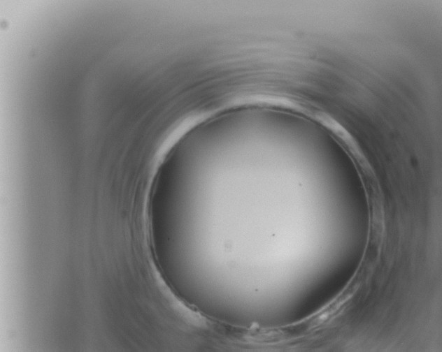 X0000062831199200601271943