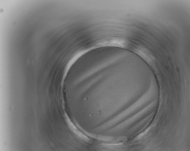 X0000062831200200601271943