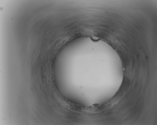 X0000062831201200601271942