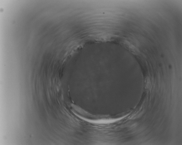 X0000062831202200601271942