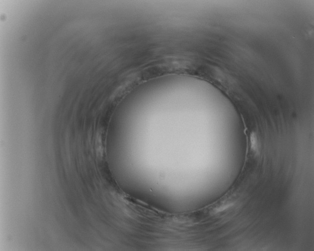 X0000062831203200601271942