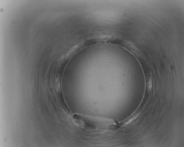 X0000062831204200601271942