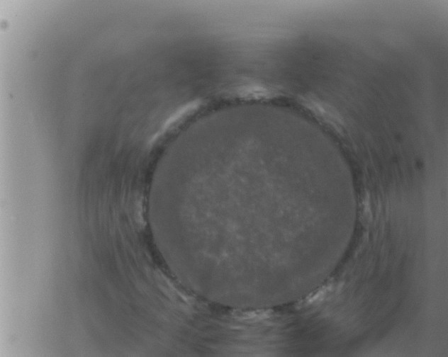 X0000062831205200601271942