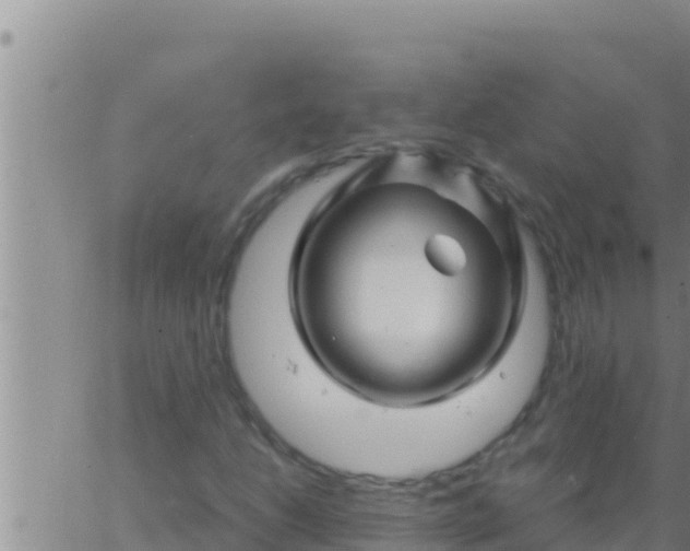 X0000062831206200601271942