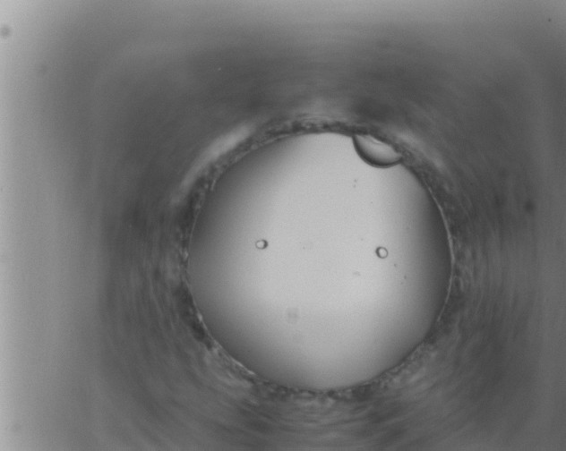 X0000062831207200601271942