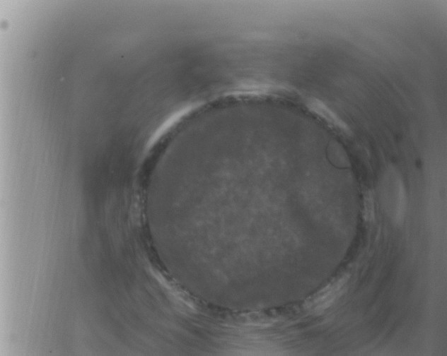 X0000062831208200601271942