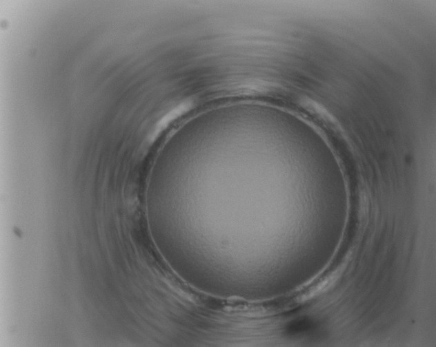 X0000062831210200601271942