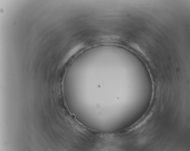 X0000062831211200601271942