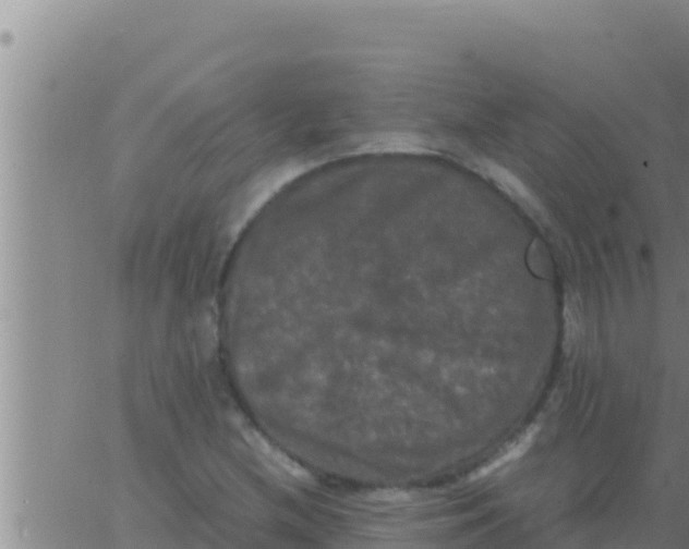 X0000062831212200601271943