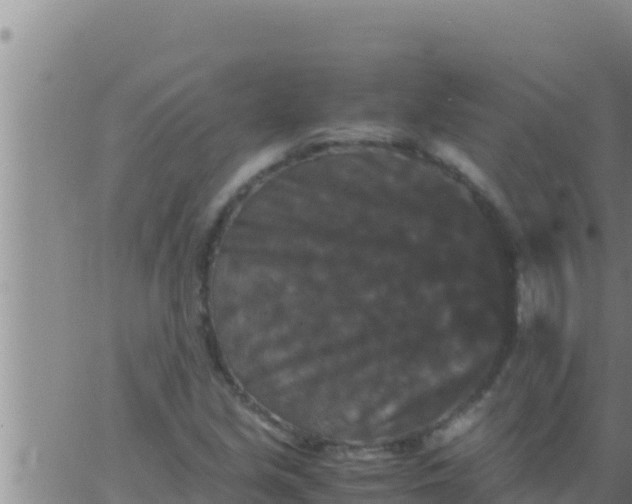 X0000062831213200601271943