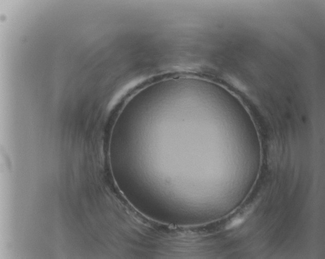 X0000062831214200601271943