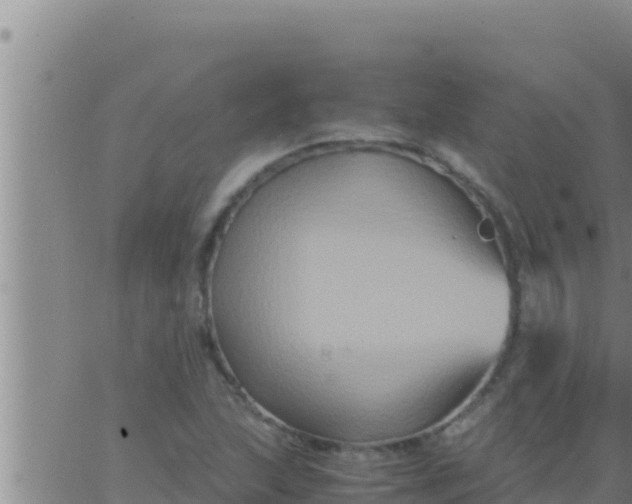 X0000062831215200601271943