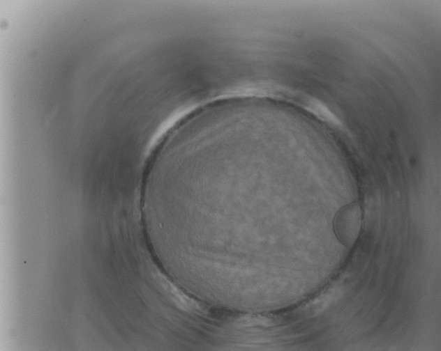 X0000062831216200601271943