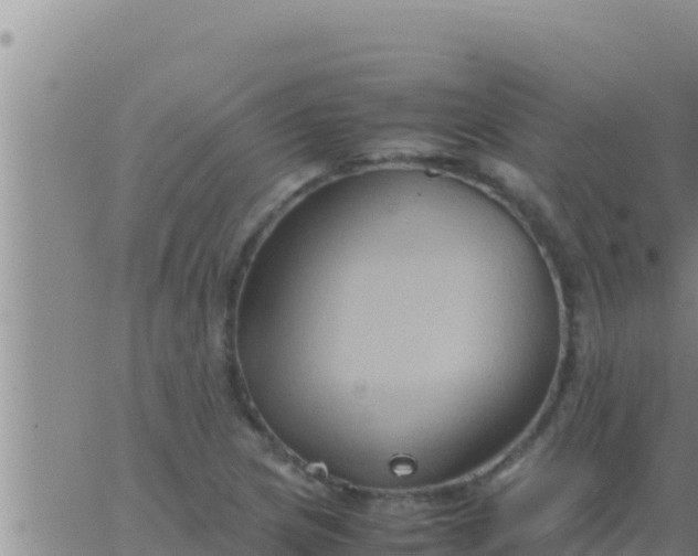 X0000062831217200601271943