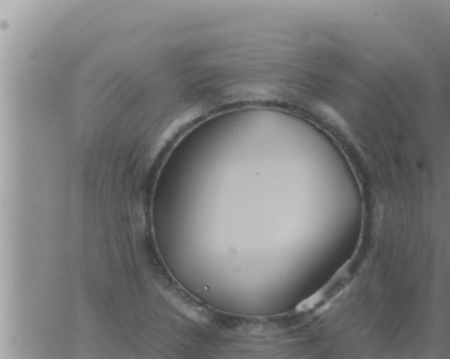 X0000062831218200601271943