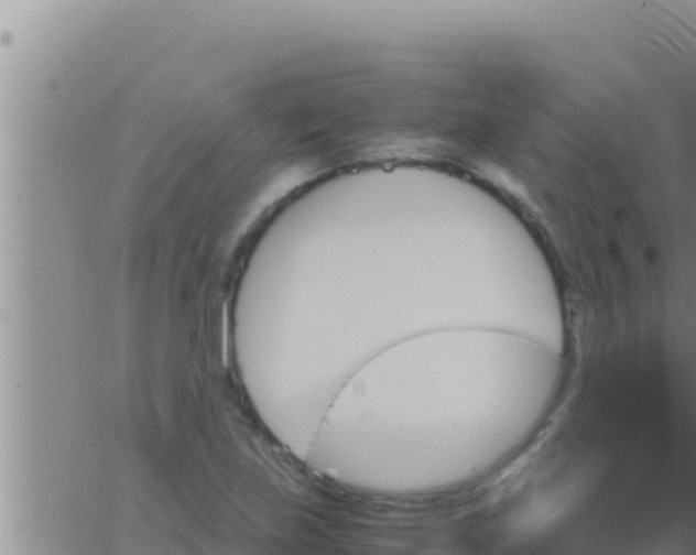 X0000062831219200601271943