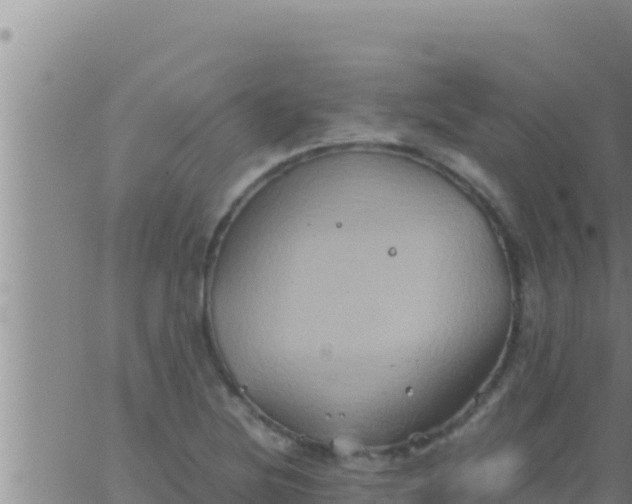 X0000062831220200601271943