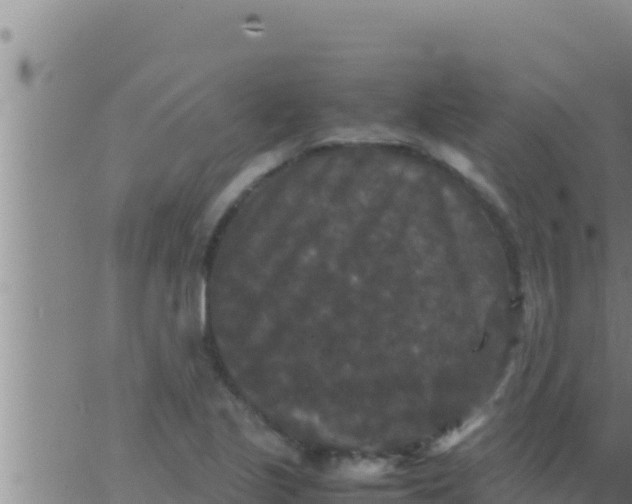 X0000062831221200601271943