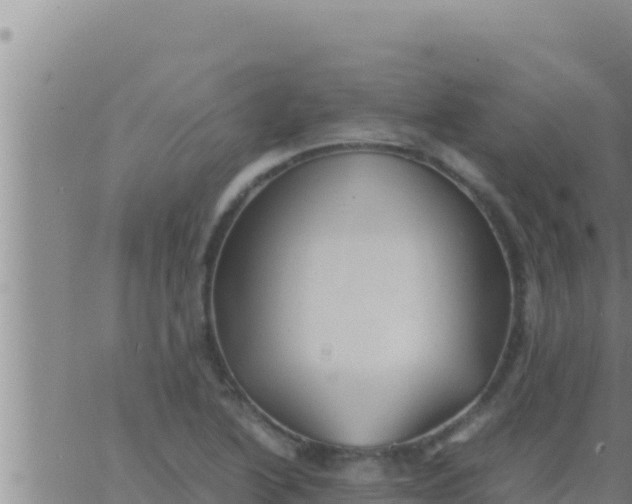 X0000062831222200601271943