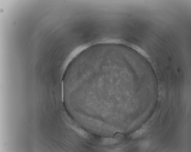 X0000062831223200601271943