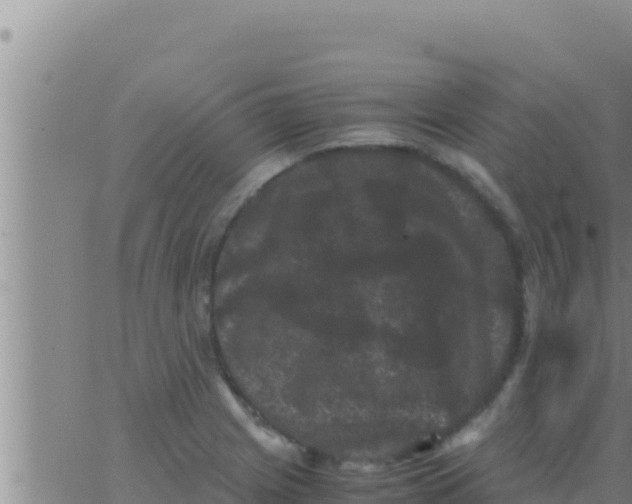 X0000062831225200601271943