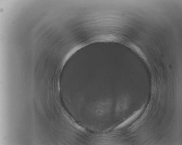 X0000062831226200601271943